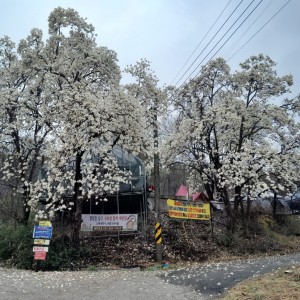 파주 화석정 캠핑장