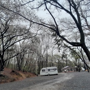 파주 화석정 캠핑장